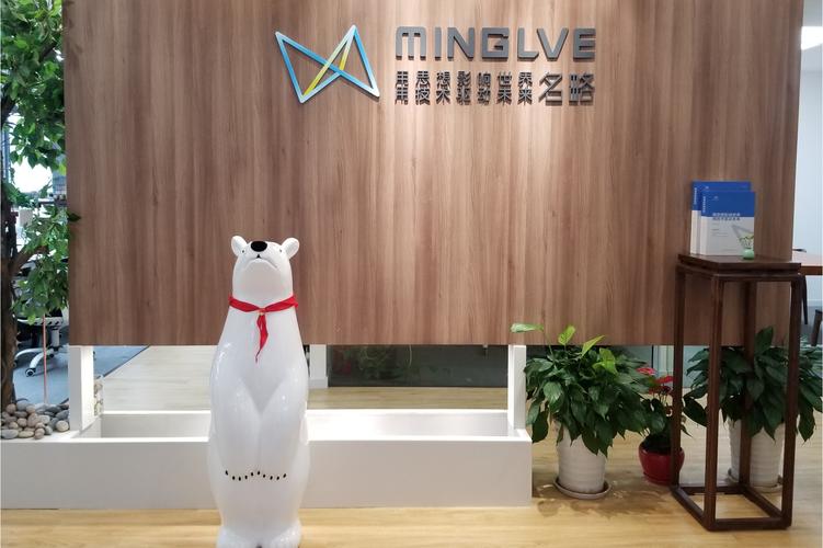 上海名略企业管理咨询 赋能上海企业管理的专业力量